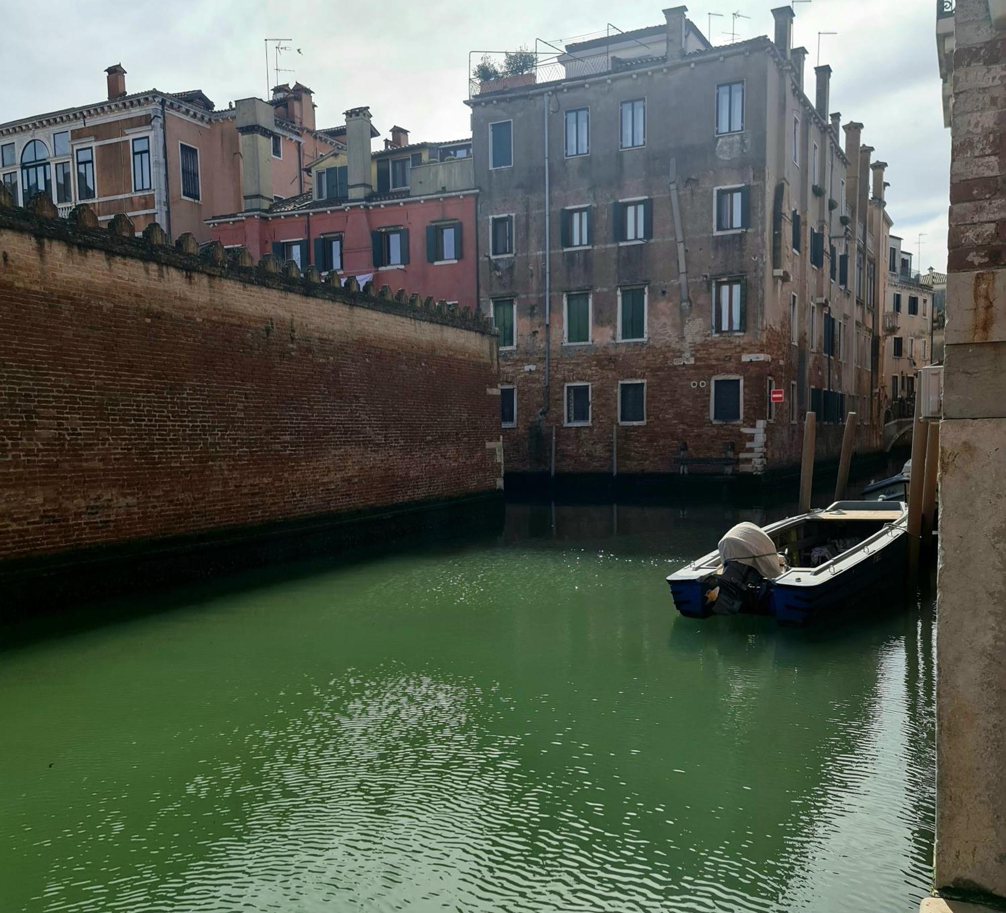 Pavarotti Venice Luaran gambar